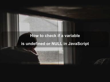 How to check if a variable is undefined or NULL in JavaScript