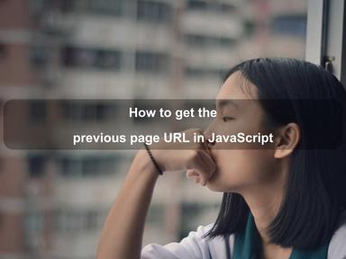 How to get the previous page URL in JavaScript