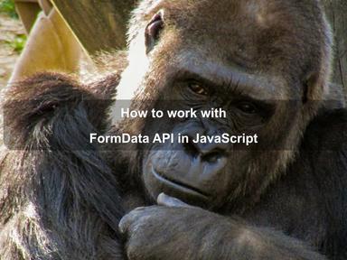 Working with FormData API in JavaScript